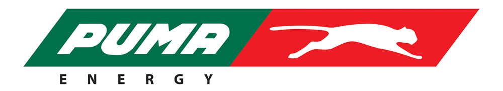 Logo 13